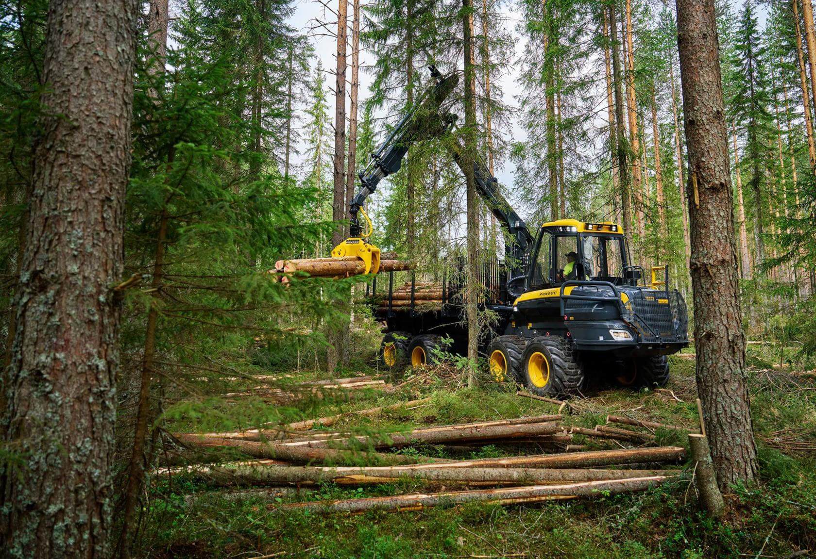 Rückezug PONSSE Elk im Einsatz im Wald