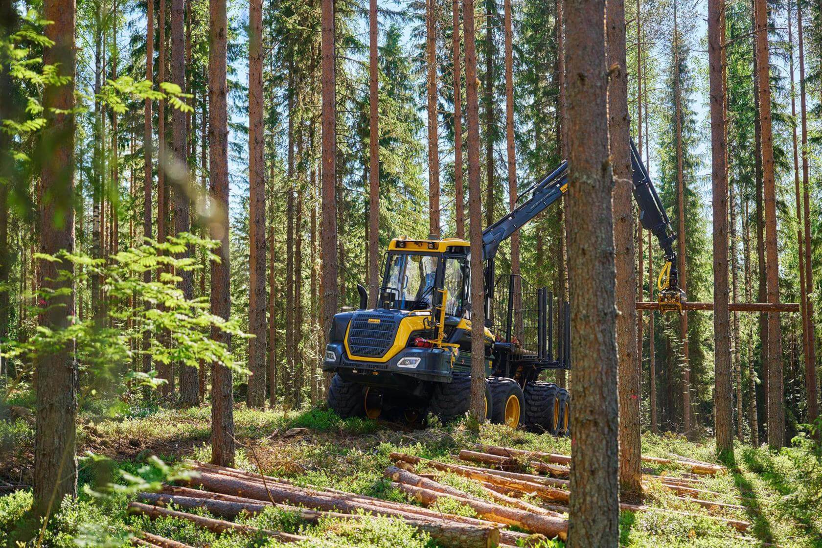Rückezug PONSSE Wiesent im Einsatz im Wald