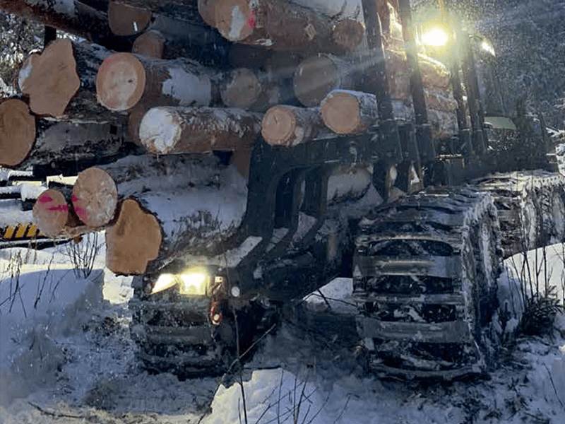 pewag Bänder bei Wahlers kaufen