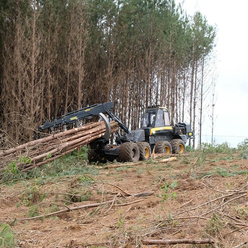 Herzog Forsttechnik Rückesystem Bear im Einsatz